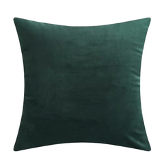 Green 45x45cm Cushion
