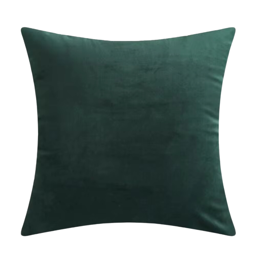 Green 45x45cm Cushion